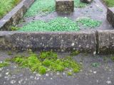 image of grave number 809999